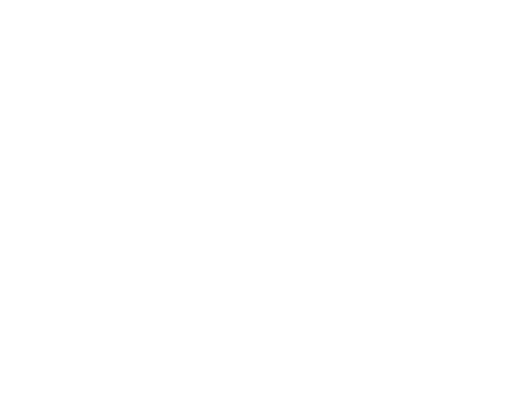 Frantic Memories